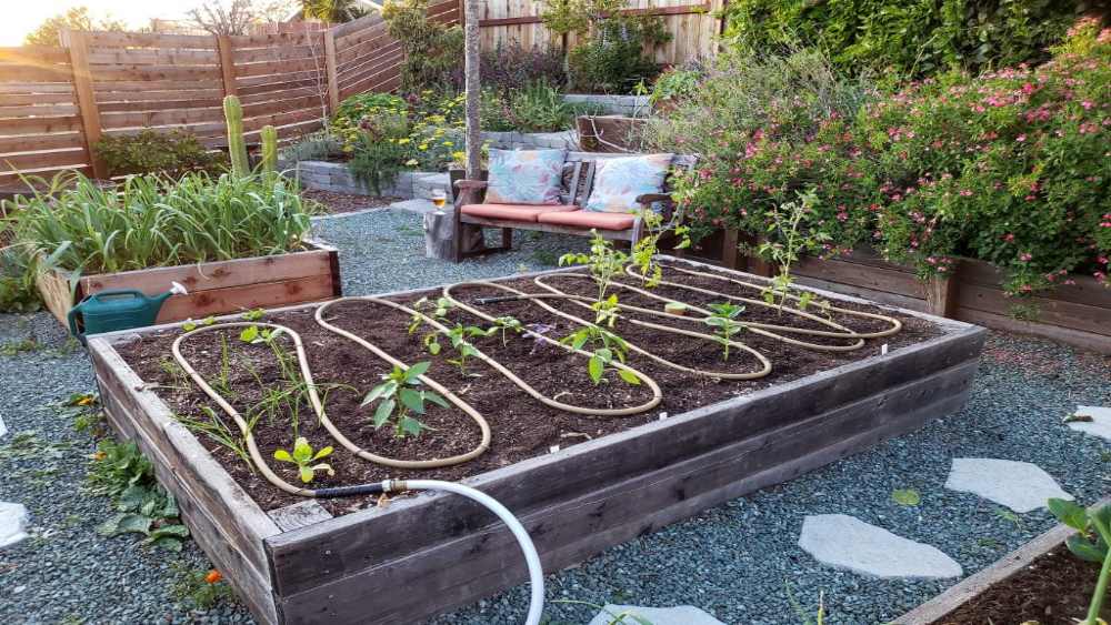 باغچه ی در منزل در حال آبیاری قطره ای